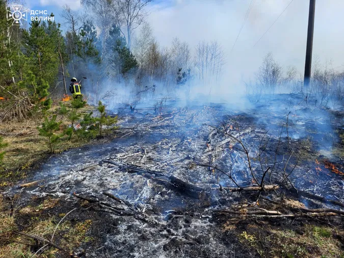 На Волині загасили кілька пожеж у лісах та чагарниках (фото)