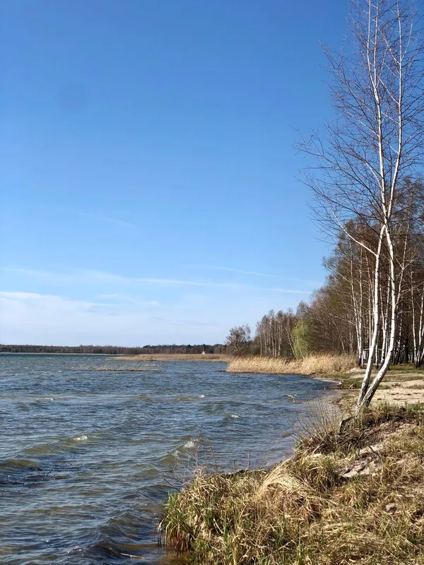 Море серед лісу: волинські морські краєвиди закохують мережу (фото)