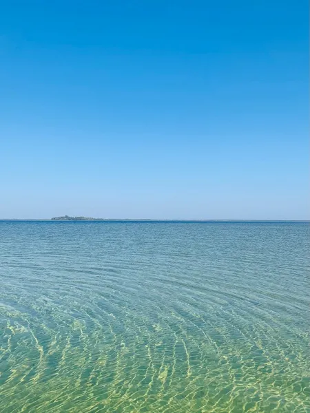 Після сезону відпочинку в Шацьких озерах перевірили якість води: що у ній знайшли (фото)