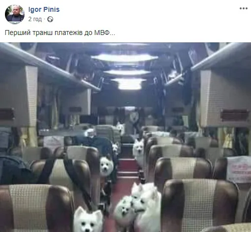 «У вас готівка?» «У мене собака», – соцмережі кепкують із нового конфузу Брагара