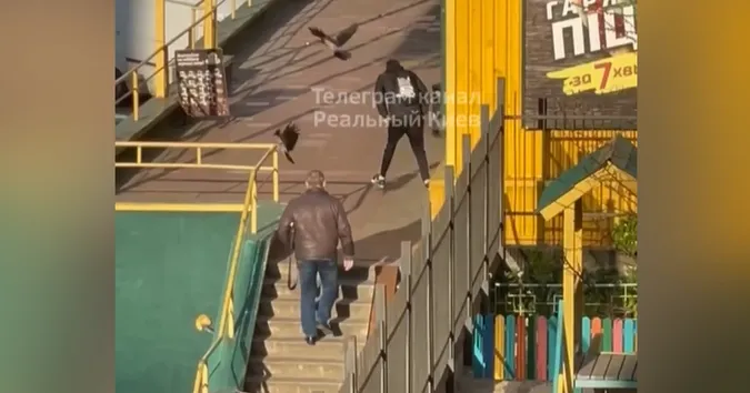 Б'ють дзьобами і крилами: у Києві ворони атакують клієнтів супермаркету (фото)