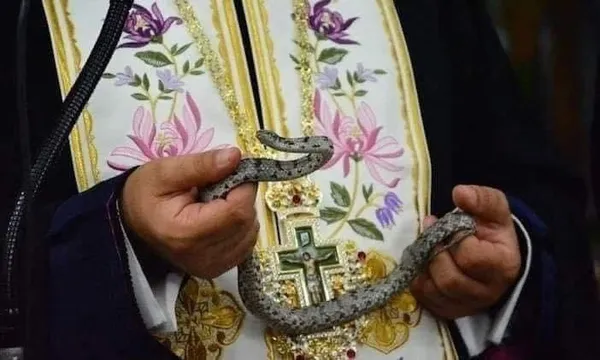 Щорічне диво у Греції: на свято до церкви спровзаються змії