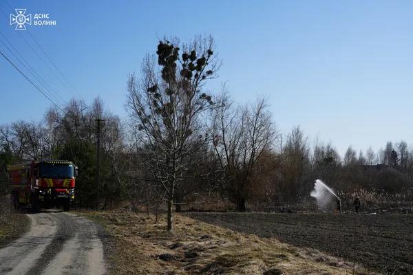 Вогонь дістався житлових будинків: на Волині за добу спалахнуло 13 пожеж (фото)