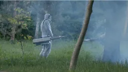 У Луцьку труять кліщів і комарів (відео)