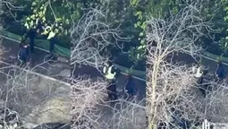 Після теракту в Києві двом патрульним оголосили підозру: кількість жертв зросла до семи (відео)