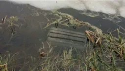 У луцькому парку бетонні смітники повикидали в канаву (фото)