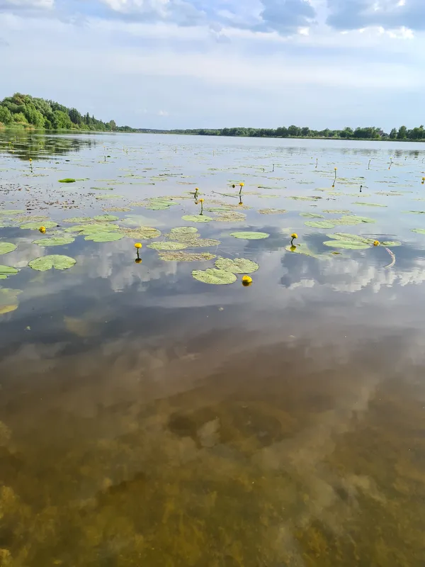 Неймовірна краса волинської річки (фото)