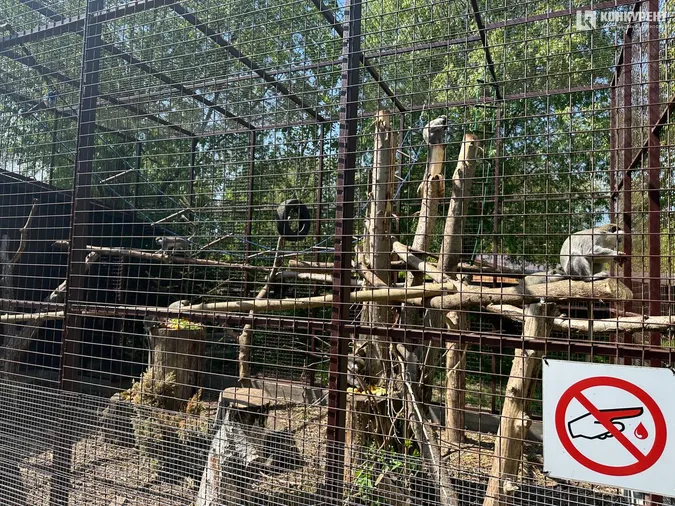 Кого можна зустріти у Луцькому зоопарку у вихідні дні (фото)