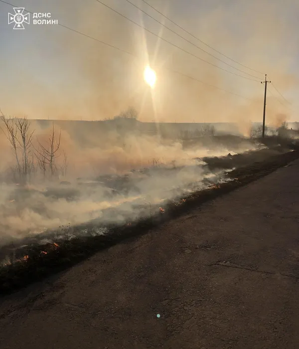 На Волині за добу згоріли майже 5 гектарів чагарників (фото)