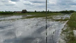 Підтоплені гектари полів: на Волині рятують урожай (відео)