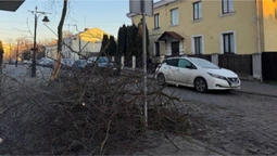 У Старому місті Луцька впало дерево і перегородило прохід (фото)