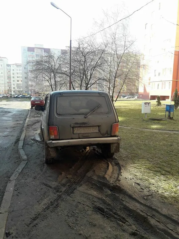 Муніципали знову борються з автохамами в Луцьку (фото) 