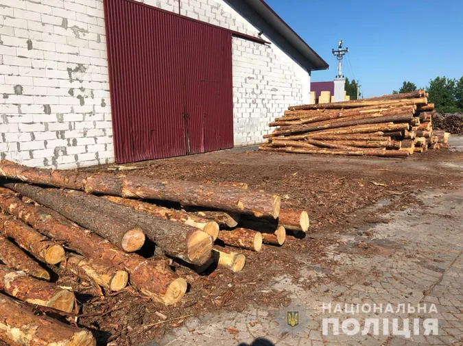 На Камінь-Каширщині – масштабні обшуки: шукають «лівий» ліс (фото)