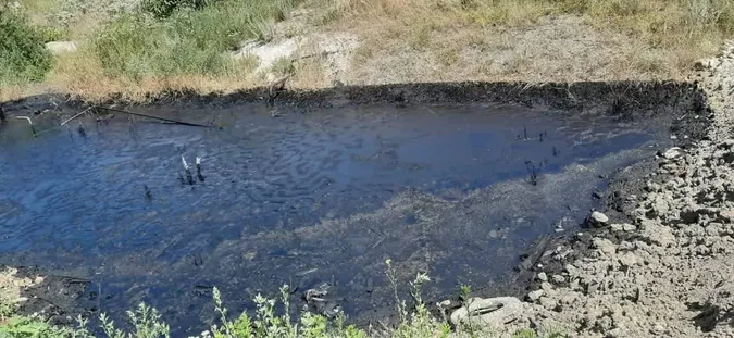 Луцькі муніципали прозвітували, як борються зі смородом (фото)