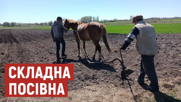 З повітряними тривогами і комендантською годиною: на Волині завершується посівна