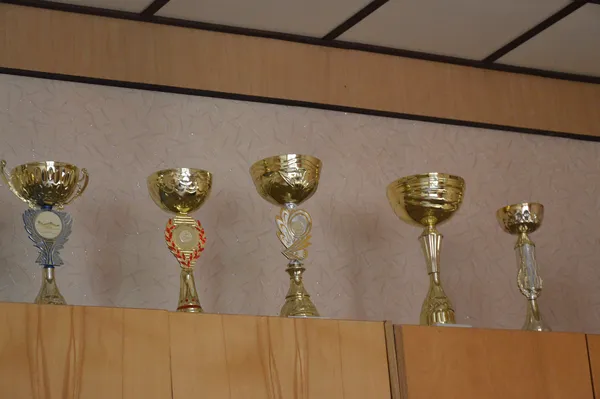 Маленька частинка здобутків школи