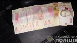 На Волині двоє п'яних водіїв "нарвалися" на кримінал через хабар поліцейським (фото)
