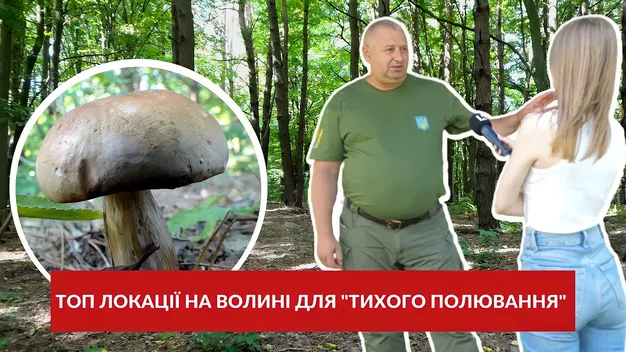 Куди на Волині поїхати по гриби: ТОП місць від лісівників (відео)