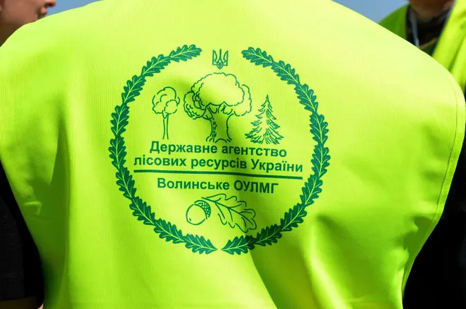«Експерти» vs лісівники: хто важливіший для лісу?
