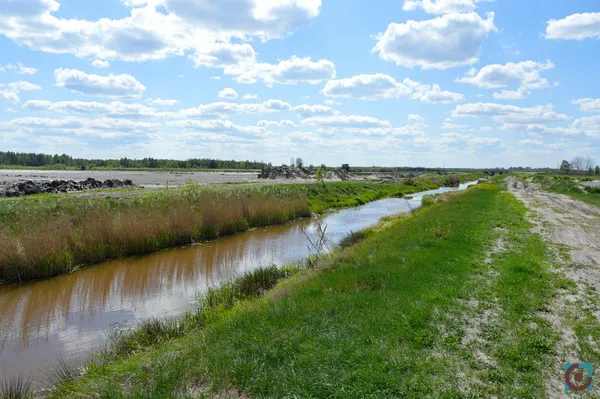 Бурштиновий промисел на карантині: що відбувається на поліських клондайках (фото, відео)