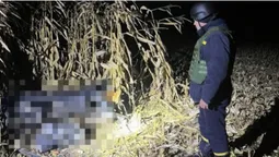 У селі біля Луцька знайшли підозрілий предмет – працювали вибухотехніки