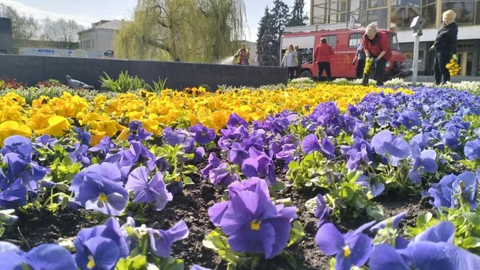Фото: Суспільне