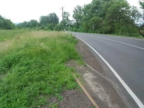 На Закарпатті випадково заасфальтували залізничну колію – довелося викопувати (фото, відео)