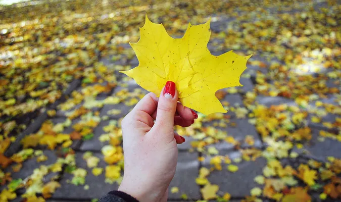 Холодніше і без опадів: погода в Луцьку на четвер, 20 жовтня
