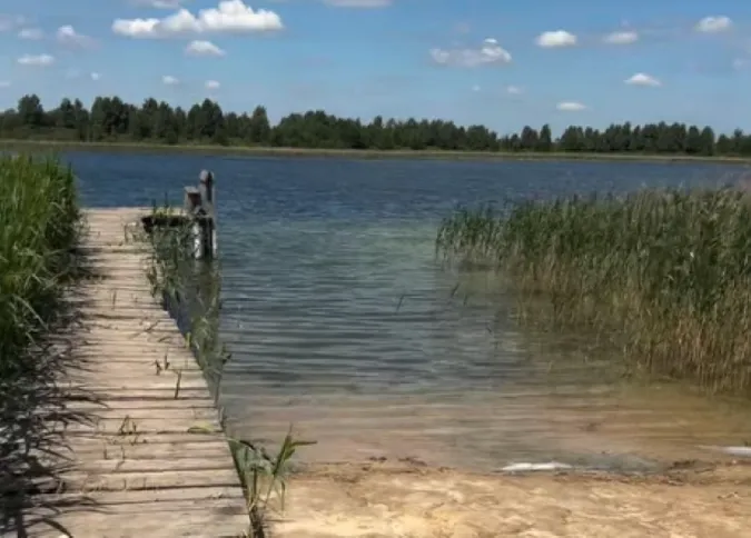 На Волині є прозоре озеро, де можна купатися голяка (відео)