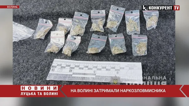 Волинянин перевозив у багажнику «шкоди» пакетики з канабісом (фото, відео)