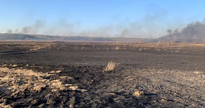 Підпалив очерет: з вини волинянина вигоріло понад 100 гектарів землі (фото, відео)