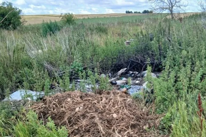 На Волині виявили стихійне сміттєзвалище просто посеред поля (фото)
