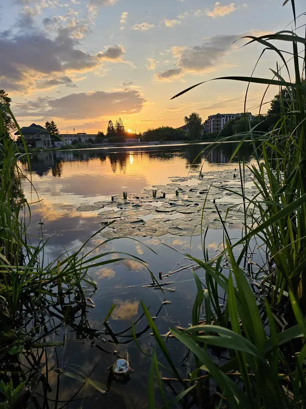 Фото: Олександр Шаула