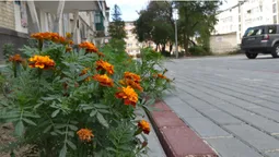Як у Луцьку ремонтують двори (фото)