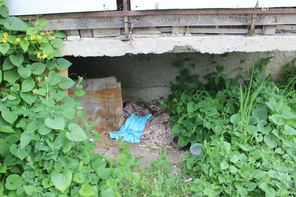 Що буде з безхатьками на перехресті Львівської-Даньшина (фото)