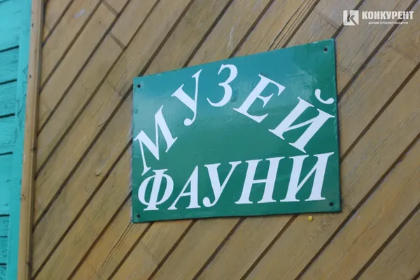 Світязь приймав пілотів з луцького аеродрому 