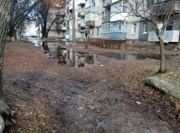 Лучани нарікають на непрохідне болото на Даньшина (фото)
