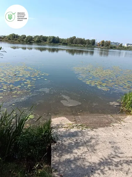 У Ковельське водосховище скидають нечистоти: інспекція перевіряє водойму (фото)