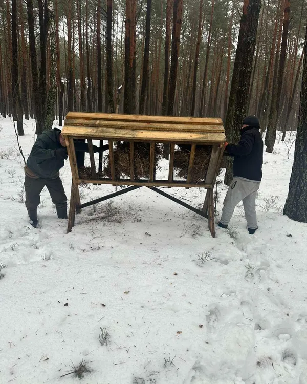 Як в нацпарку на Волині допомагають диким тваринам пережити сніжну зиму (фото)
