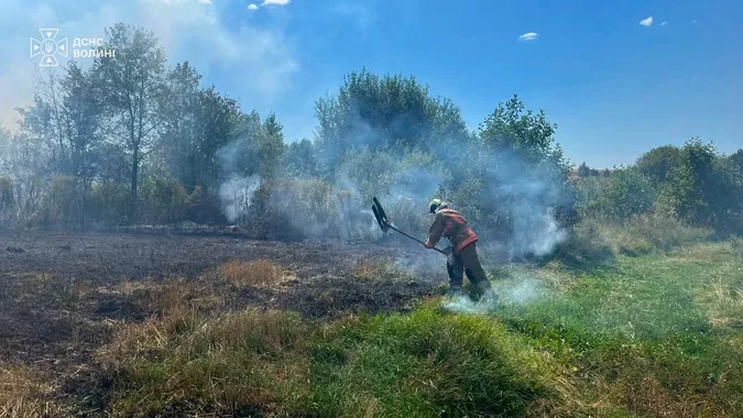 7 пожеж за добу: на Волині вогонь охопив понад 2 гектари сухостою (фото)