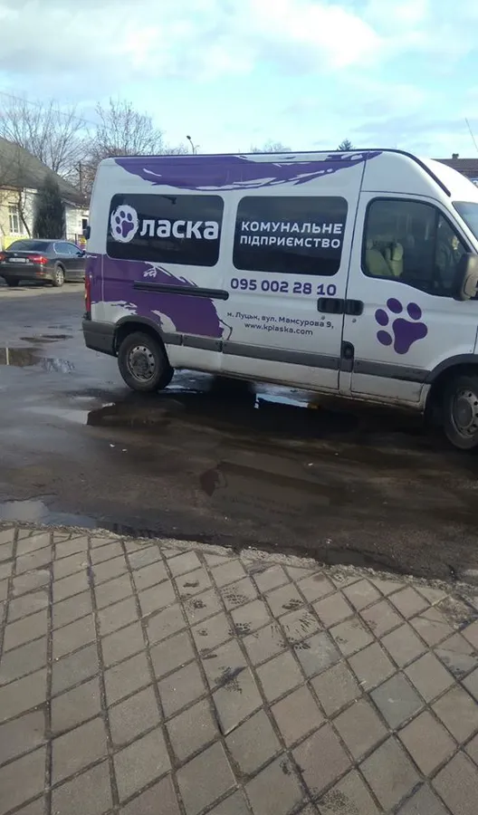 «Ласка» ловитиме безпритульних собак у Ківерцях
