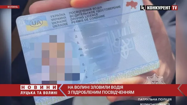 Купив «права» в інтернеті: на Волині зловили водія-порушника (фото, відео)