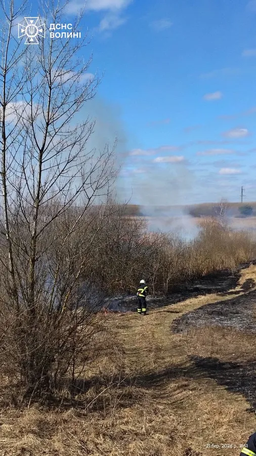 Палало по всій Волині: рятувальники гасили масштабні пожежі сухостою (фото)