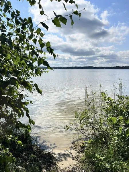 Ніжна, як молоко: на Волині є озеро зі «срібною» водою (фото)