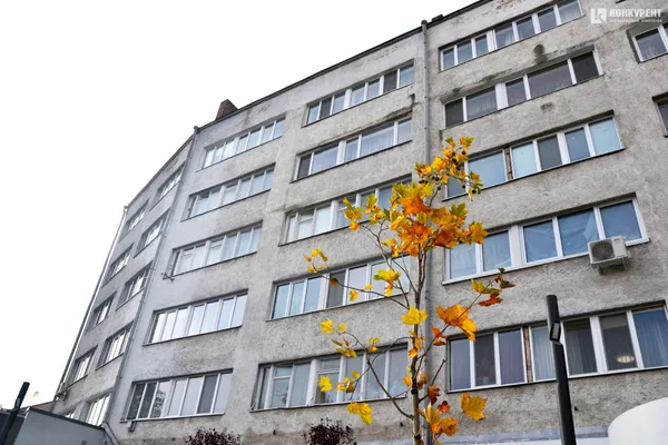 У Луцьку озеленили сквер біля «Бенедикту» (фото)