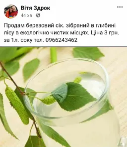Скільки коштує березовий сік на Волині