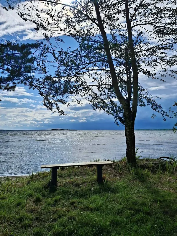 Світязь вразив незвичним видовищем: вода в озері стала схожою на рідке срібло (фото)