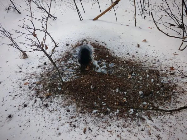 Хто наслідив у нацпарку на Волині (фото)