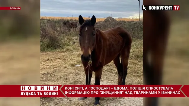 На Волині поліцейські захистили права коней (відео)