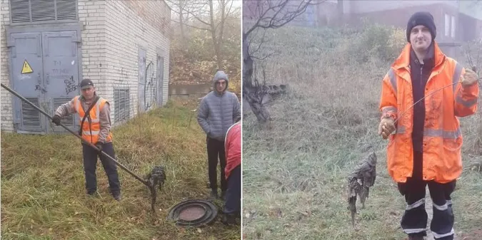 Діставали день і ніч: що змили в унітаз у Нововолинську